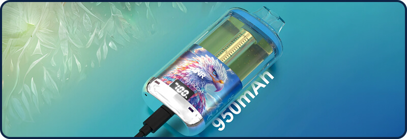 La batterie de 950mAh int&eacute;gr&eacute;e à la Falcon GEM+