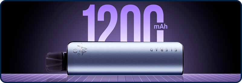 La batterie de 1200mAh int&eacute;gr&eacute;e à la Elfa Master